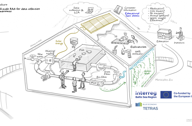 Illustration af projektets Pilot 4: Et RAS og akvaponi demonstrationsanlæg i Guldborgsund Zoo & Botanisk Have, hvor der er mulighed for at formidle omkring fiske- og plantesymbioser, cirkulær bioøkonomi, vandkvalitet og ressourceeffektivitet. Pilot 4 er et samarbejde med Pilot 1, hvor Businss Lolland-Falster og Blue Research kortlægger vandfiltrerings teknologi. Der samles data ift. en livscyklusanalyse (LCA) og udvikles faktabaserede kommunikationsmaterialer til gæster, elever, studerende og erhverv.